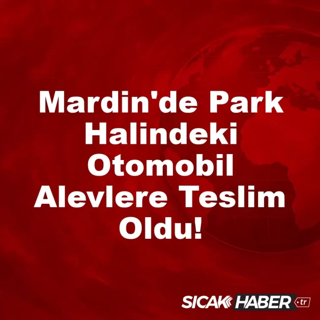 Mardin'de Park Halindeki Otomobil Alevlere Teslim Oldu!