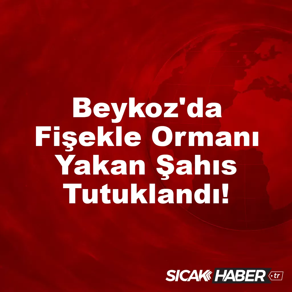 Beykoz’da Fişekle Ormanı Yakan Şahıs Tutuklandı! Beykoz’da Fişekle Ormanı Yakan Şahıs Tutuklandı!