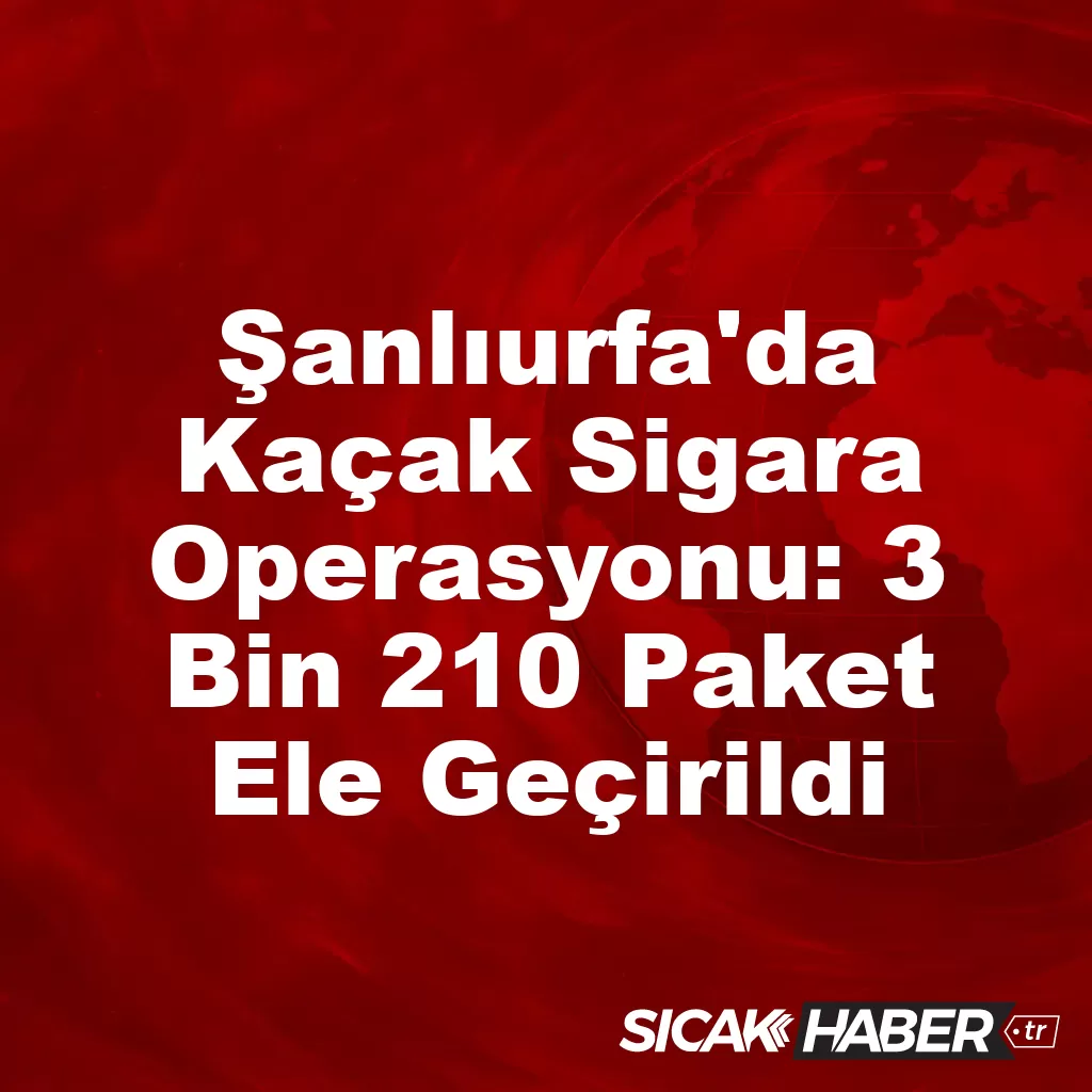Şanlıurfa’da Kaçak Sigara Operasyonu: 3 Bin 210 Paket Ele Geçirildi Şanlıurfa’da Kaçak Sigara Operasyonu: 3 Bin 210 Paket Ele Geçirildi