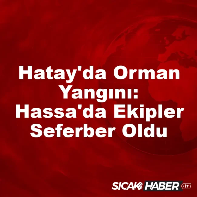 Hatay'da Orman Yangını: Hassa'da Ekipler Seferber Oldu