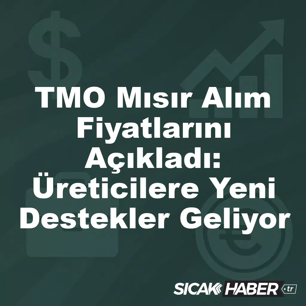 TMO Mısır Alım Fiyatlarını Açıkladı: Üreticilere Yeni Destekler Geliyor