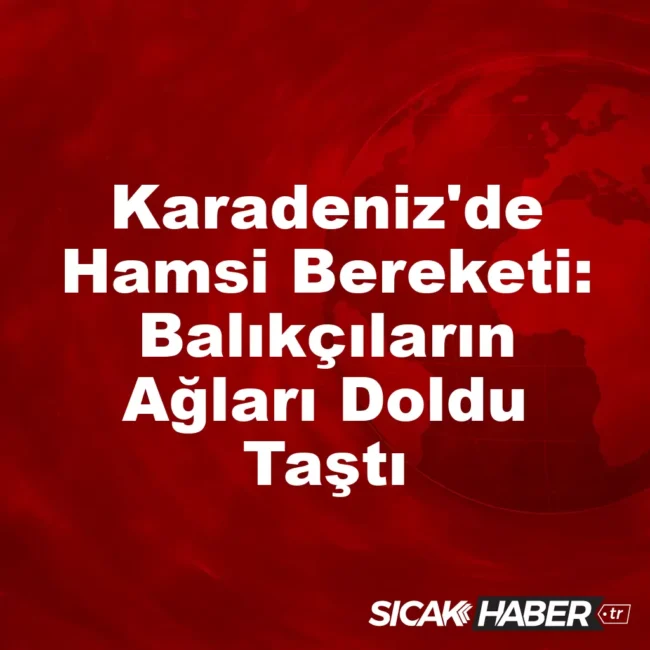 Karadeniz'de Hamsi Bereketi: Balıkçıların Ağları Doldu Taştı