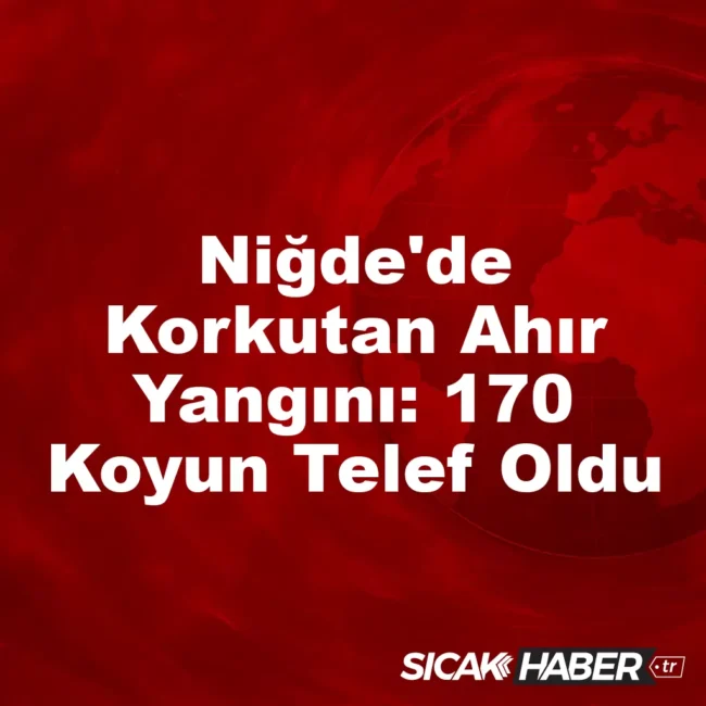 Niğde'de Korkutan Ahır Yangını: 170 Koyun Telef Oldu